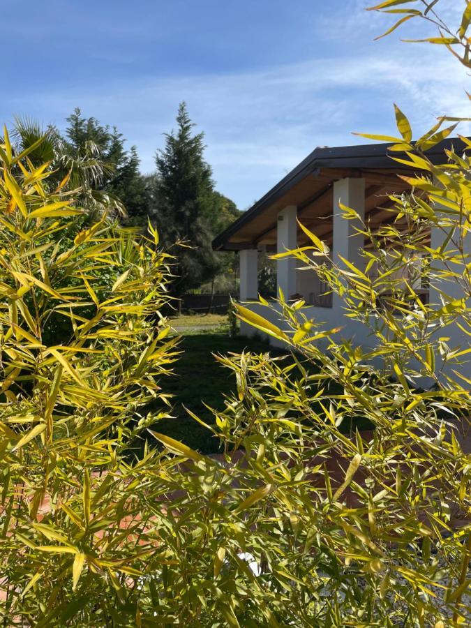 Etna Petit Relais Bed & Breakfast Nicolosi Exterior photo
